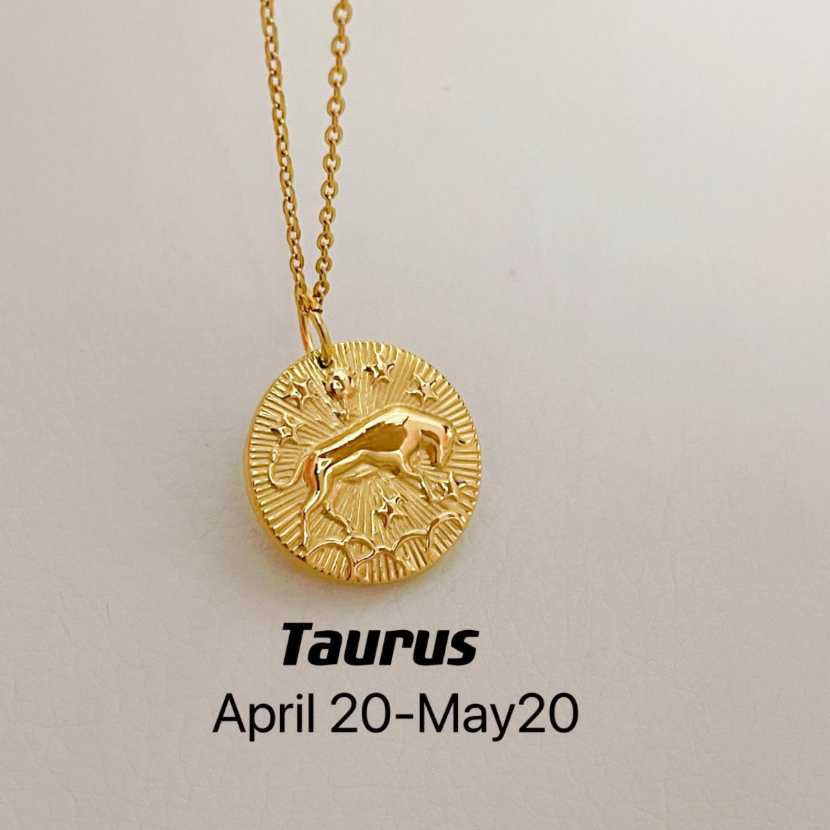 CN003:Dainty Zodiac Necklace for Women Zodiac Sign Necklaces Chain Necklaces For Women and Men