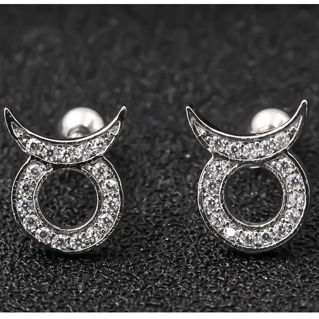 Horoscope Zodiac Sign Cartilage Helix Stud Earrings - 12 Constellation Astrology,Titanium Stainless Steel and Zircon, Little Ear Studs Gift for Women Men & Teens