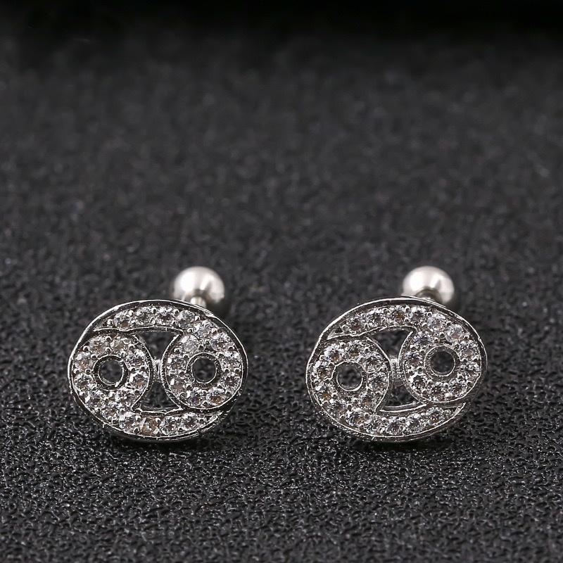 Horoscope Zodiac Sign Cartilage Helix Stud Earrings - 12 Constellation Astrology,Titanium Stainless Steel and Zircon, Little Ear Studs Gift for Women Men & Teens
