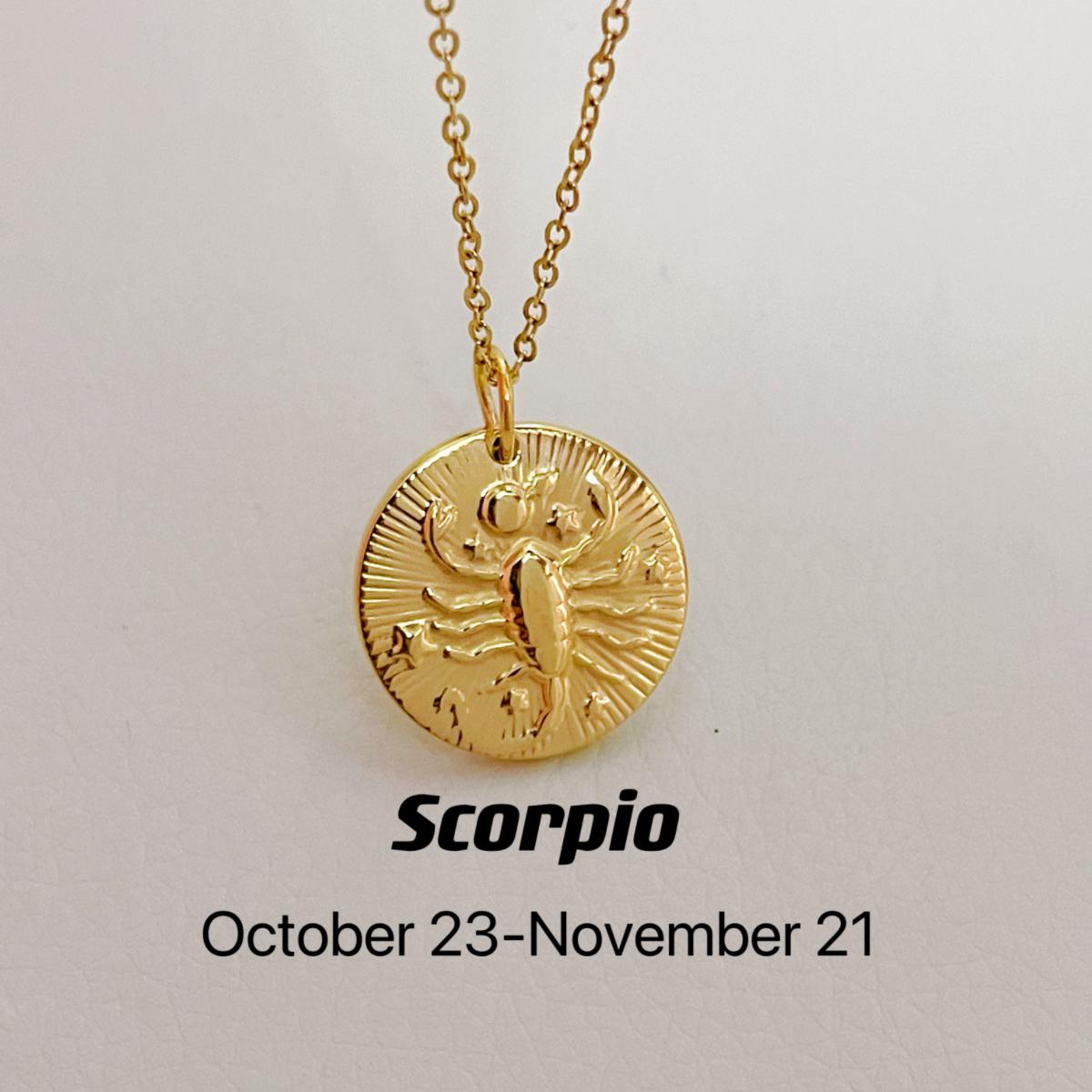 CN003:Dainty Zodiac Necklace for Women Zodiac Sign Necklaces Chain Necklaces For Women and Men