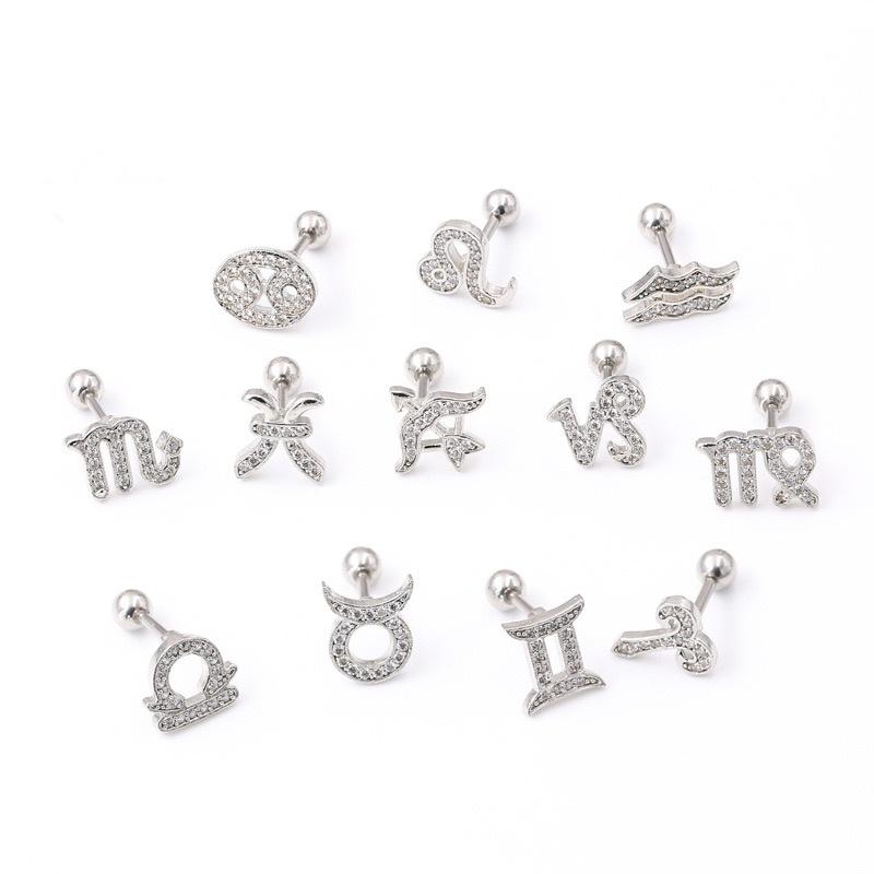 Horoscope Zodiac Sign Cartilage Helix Stud Earrings - 12 Constellation Astrology,Titanium Stainless Steel and Zircon, Little Ear Studs Gift for Women Men & Teens