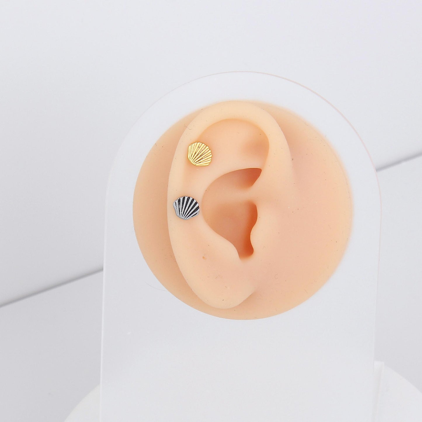 1 count/Punk Gothic Seashell Stud Earring, Vintage Stud Earring with Round Back,Barbell Studs –Titanium Stud, Earlobe Earring, Helix Cartilage Earring for Men and Women