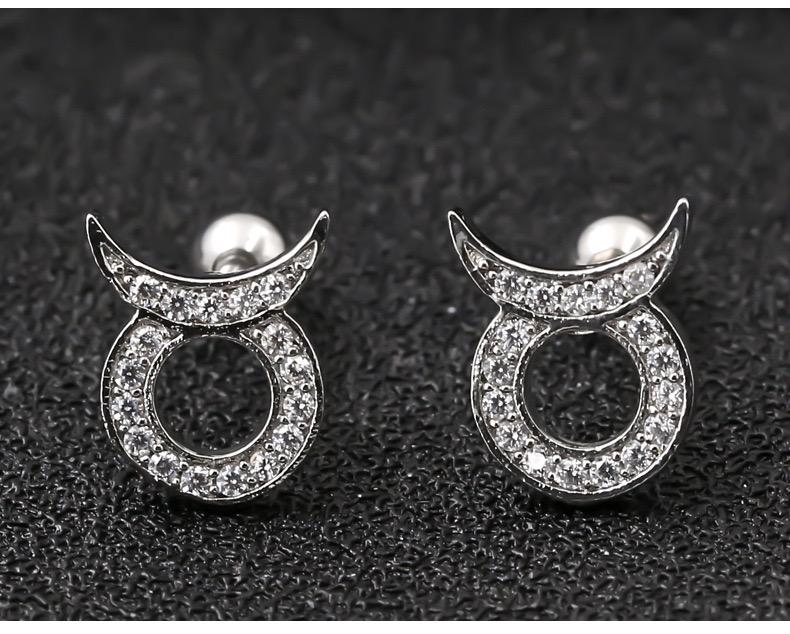 Horoscope Zodiac Sign Cartilage Helix Stud Earrings - 12 Constellation Astrology，Titanium Stainless Steel and Zircon, Little Ear Studs Gift for Women Men & Teens
