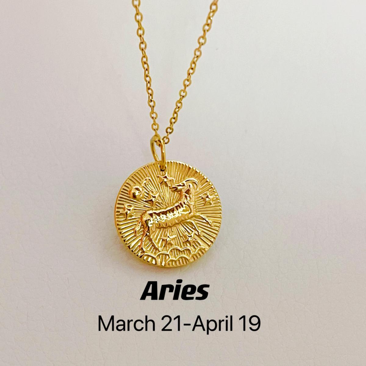 CN003:Dainty Zodiac Necklace for Women Zodiac Sign Necklaces Chain Necklaces For Women and Men