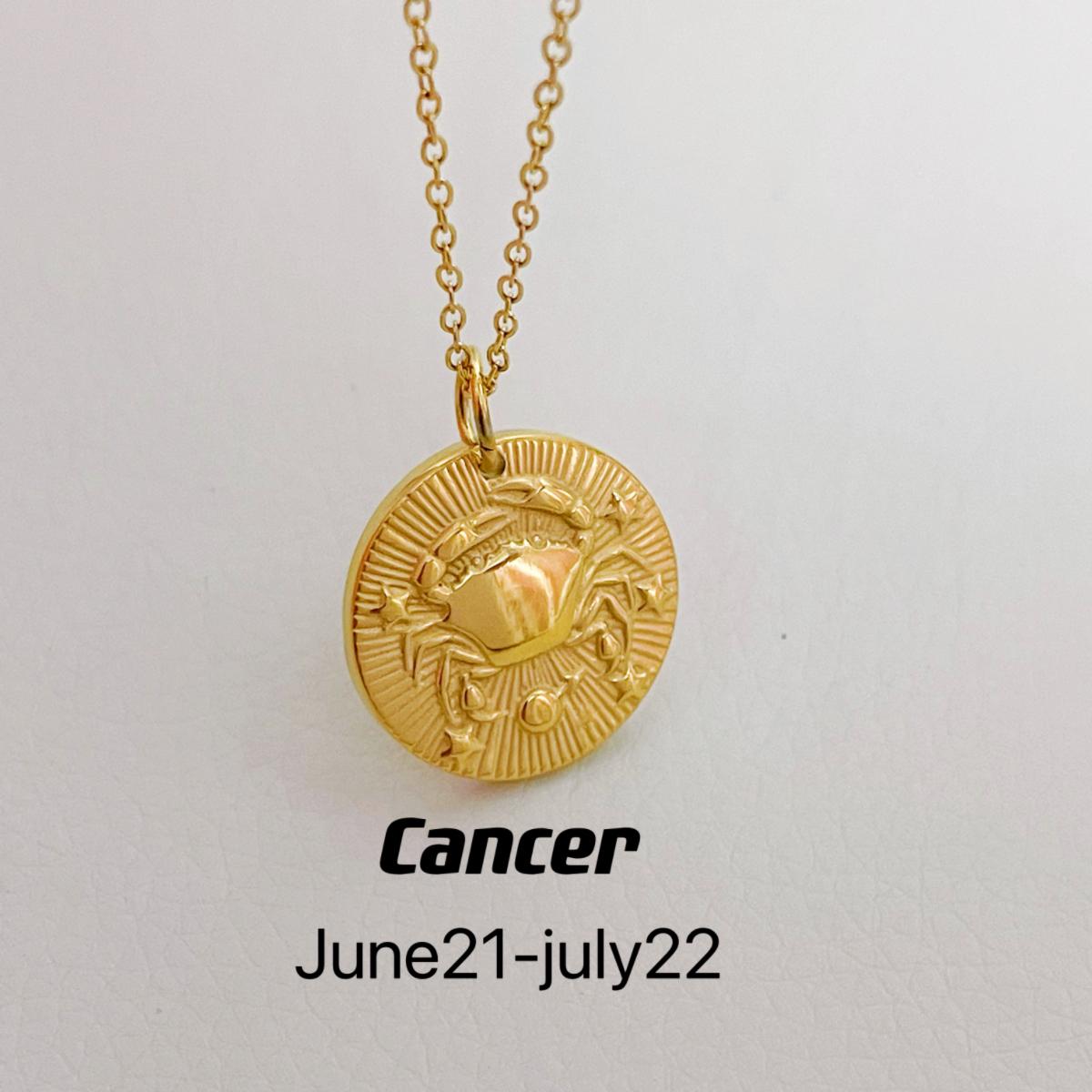CN003:Dainty Zodiac Necklace for Women Zodiac Sign Necklaces Chain Necklaces For Women and Men